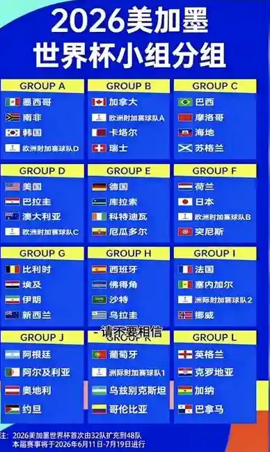 专家分析团队